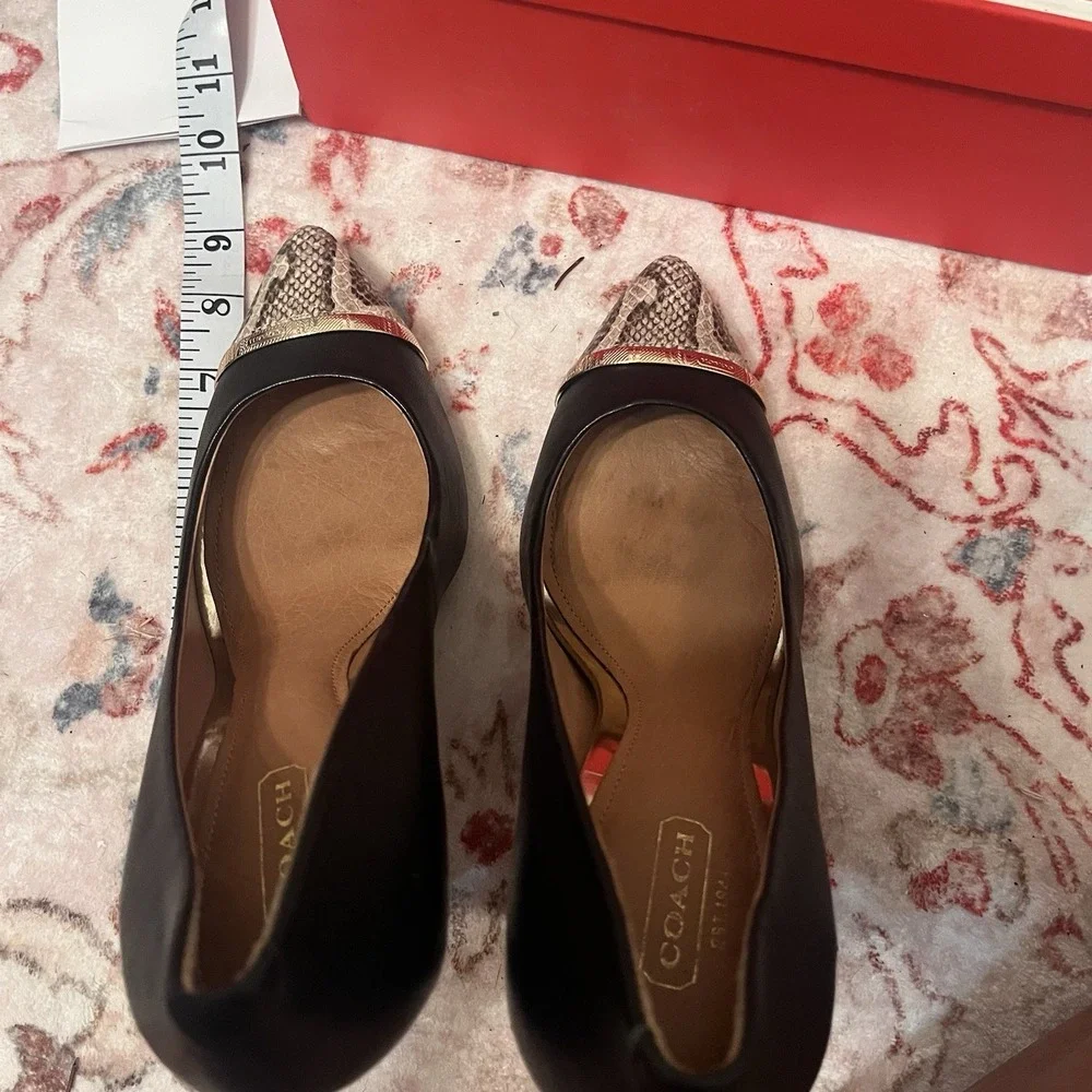 Coach Shoes Size 7.5B Black Heel with Snake Skin Pointed Toe and Gold Band Box